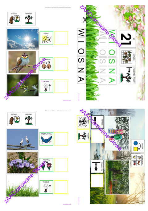 WIOSNA - CAŁY PAKIET AAC, SYMBOLE PCS WIOSNA - CAŁY PAKIET AAC, SYMBOLE PCS