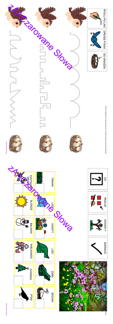 WIOSNA - CAŁY PAKIET AAC, SYMBOLE PCS WIOSNA - CAŁY PAKIET AAC, SYMBOLE PCS