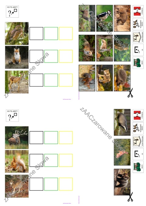 DZIKIE ZWIERZĘTA - CAŁY PAKIET AAC, KARTY PRACY, SYMBOLE PCS