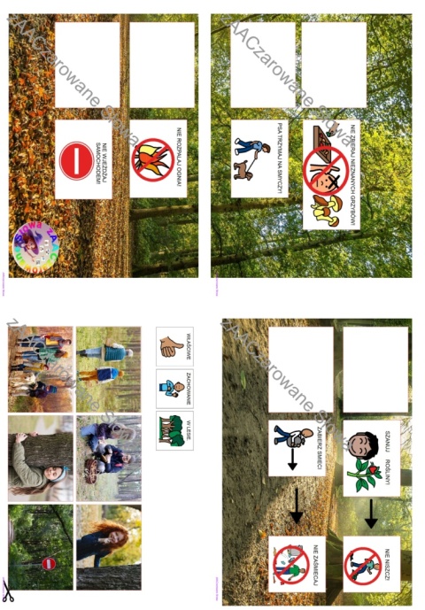 DZIKIE ZWIERZĘTA - CAŁY PAKIET AAC, KARTY PRACY, SYMBOLE PCS