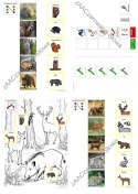 DZIKIE ZWIERZĘTA - CAŁY PAKIET AAC, KARTY PRACY, SYMBOLE PCS