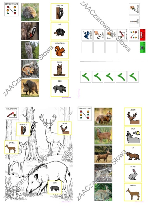 DZIKIE ZWIERZĘTA - CAŁY PAKIET AAC, KARTY PRACY, SYMBOLE PCS