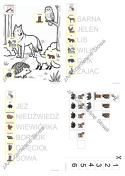 DZIKIE ZWIERZĘTA - CAŁY PAKIET AAC, KARTY PRACY, SYMBOLE PCS
