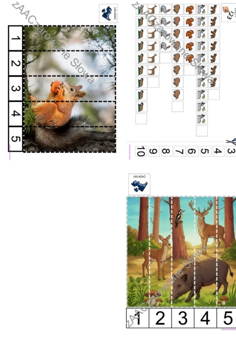 DZIKIE ZWIERZĘTA - CAŁY PAKIET AAC, KARTY PRACY, SYMBOLE PCS