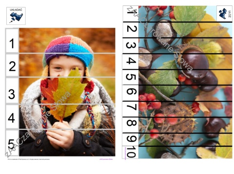 JESIEŃ - CAŁY PAKIET AAC, SYMBOLE PCS