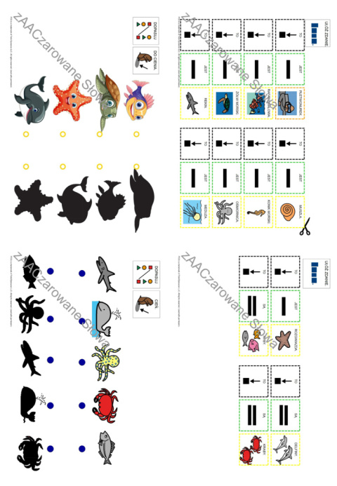 MORZE - CAŁY PAKIET, KARTY PRACY AAC, SYMBOLE PCS MORZE - CAŁY PAKIET, KARTY PRACY AAC, SYMBOLE PCS