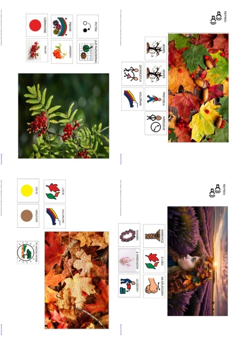 "WARKOCZ Z LIŚCI" - piosenka z repertuaru MUZYCZNEJ KURTNY - link do pobrania w opisie